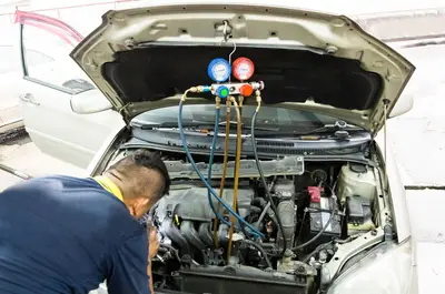 main image article