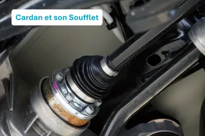 cardan et soufflet