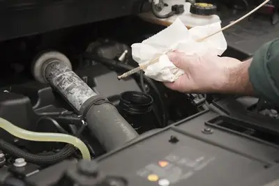 jauge liquide de frein