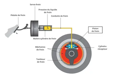 main image article