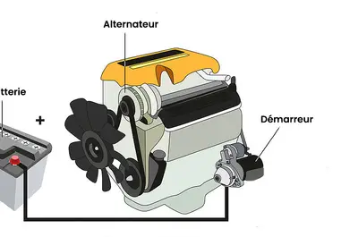 main image article