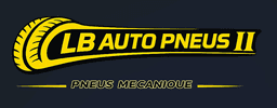 logo lbautopneuii