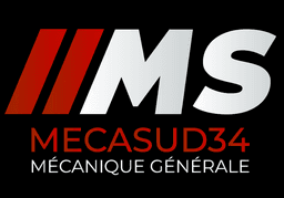 logo mecasud34