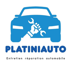 logo platiniauto