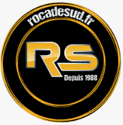 logo ROCADE SUD - GARAGE AUTOMOBILE A ANGERS