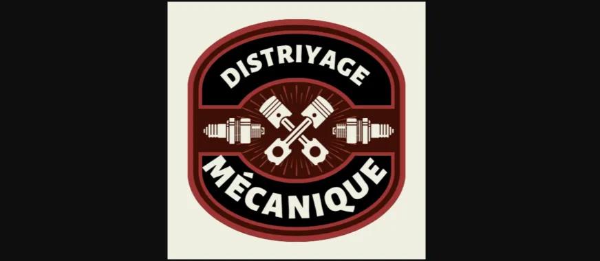 Photo de GARAGE DISTRIYAGE